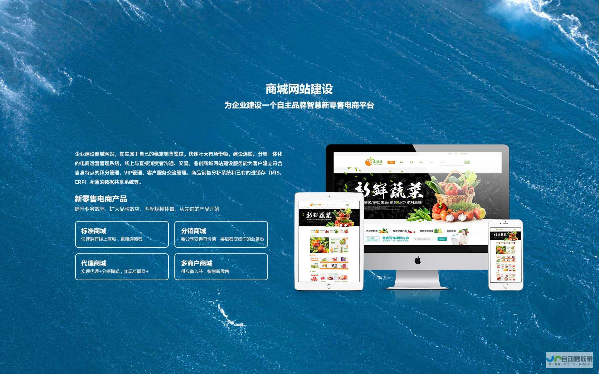 陕西优化及网站策略